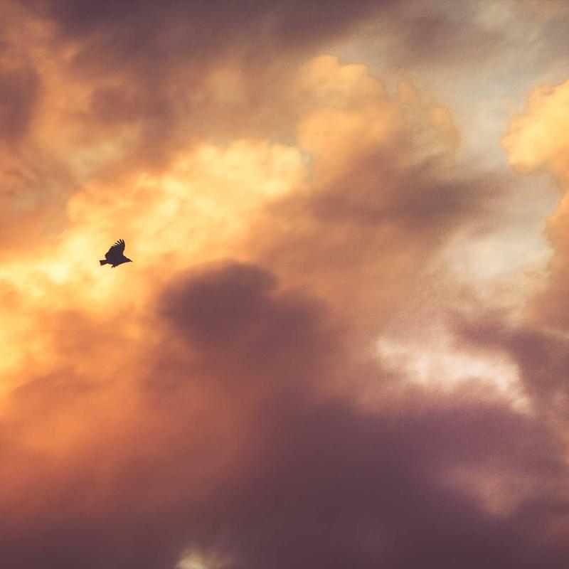 Slim Fit Jeans in Dark Indigo