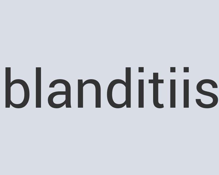 Incredible Leather Color-Band