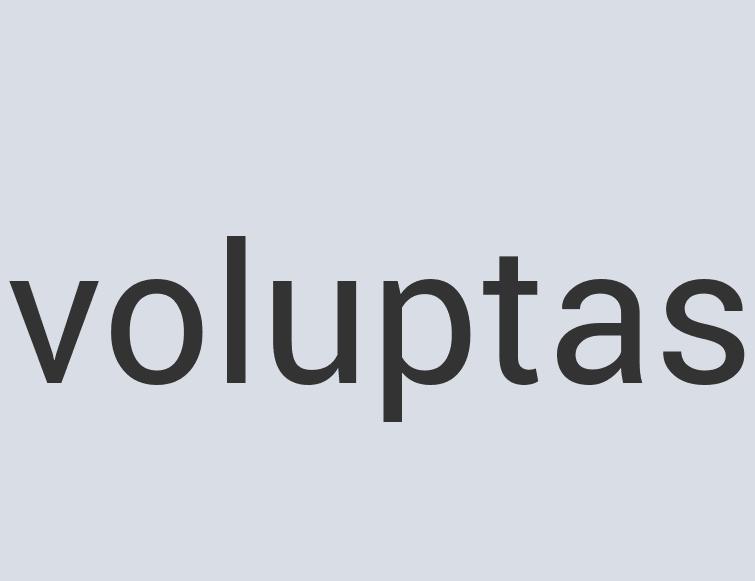 Small Plastic House Scents