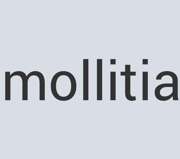 Aerodynamic Aluminum BigTent