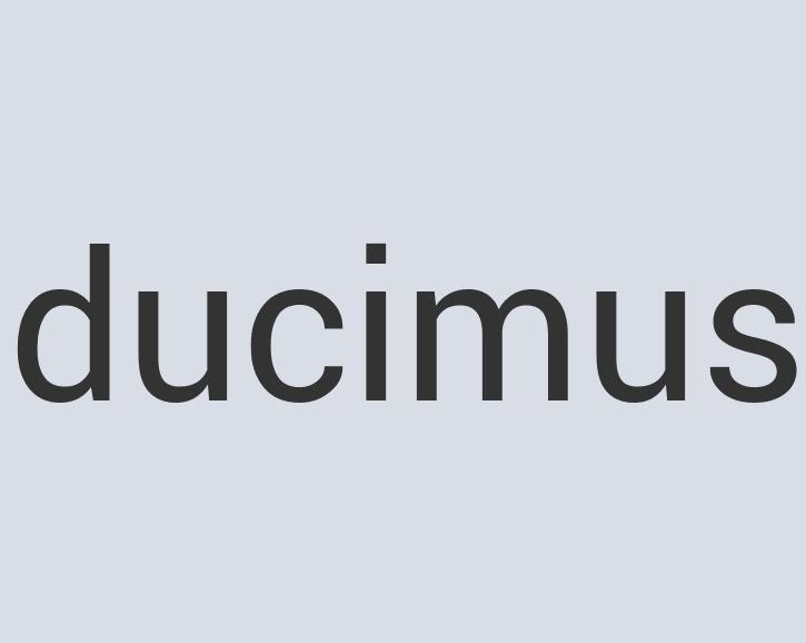 Ergonomic Concrete Deoder Bear