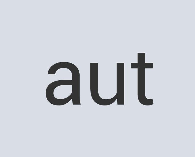 Lightweight Leather Director’s Chair