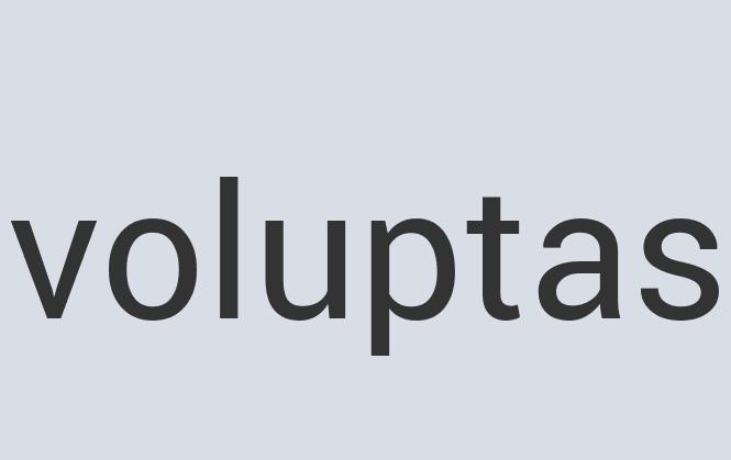 Heavy Duty Concrete Ezient