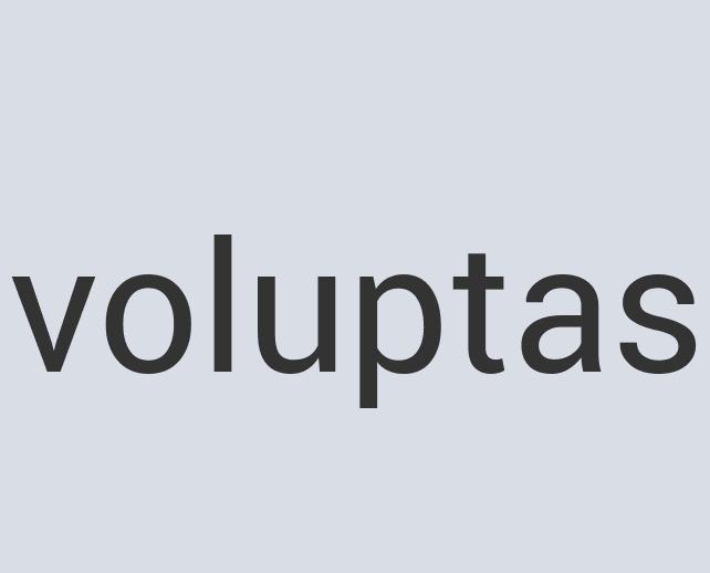 Practical Bronze Portalite