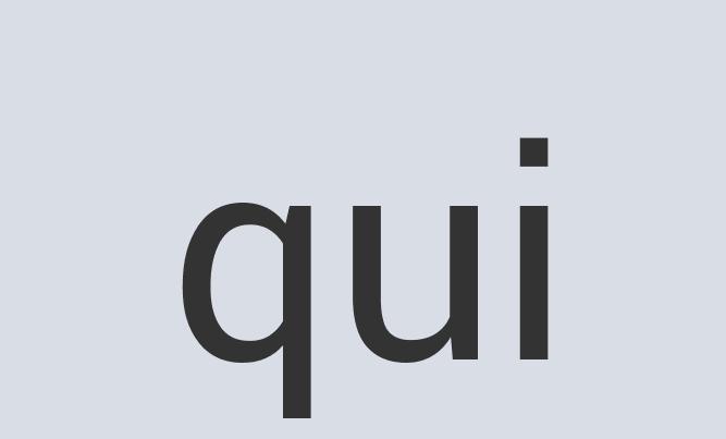 Sleek Silk Snappy Clips